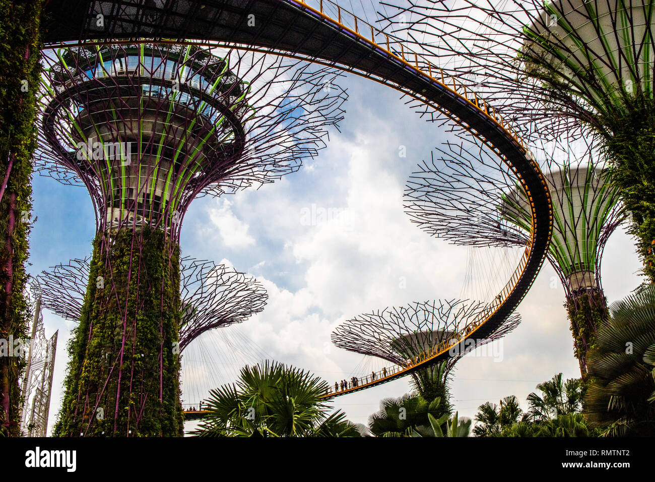 Tourists walking on the OCBC skyway through the Supertree Grove, Gardens by the Bay, Singapore Stock Photo