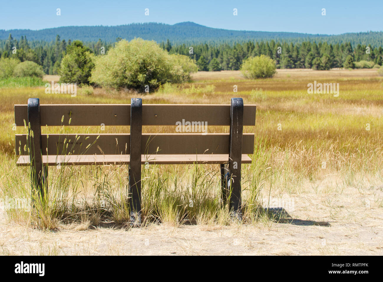 Mountain meadow with empty bench seat, blue mountains, golden grass Stock Photo