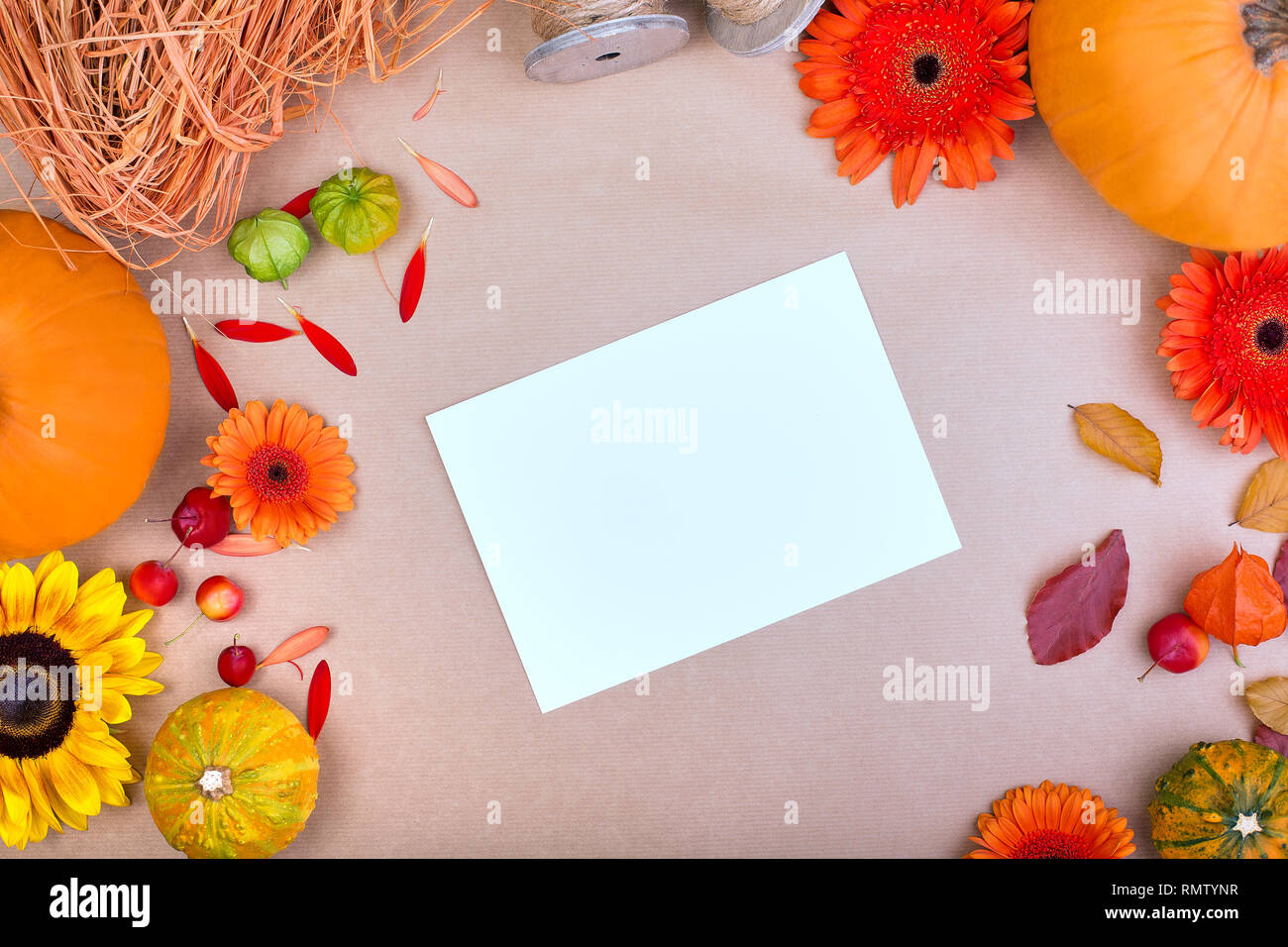 Download Top View Of Handcraft Gift Box Yellow And Orange Flowers And Pumpkins On Rose Background Blank Greeting Card For Creative Work Design Flat Lay Stock Photo Alamy PSD Mockup Templates