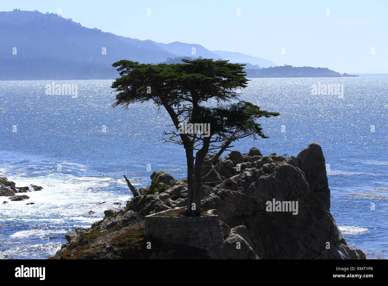 Ein Baum auf einem Felsen im Hintergrund das Meer bei strahlendem Sonnenschein Stock Photo