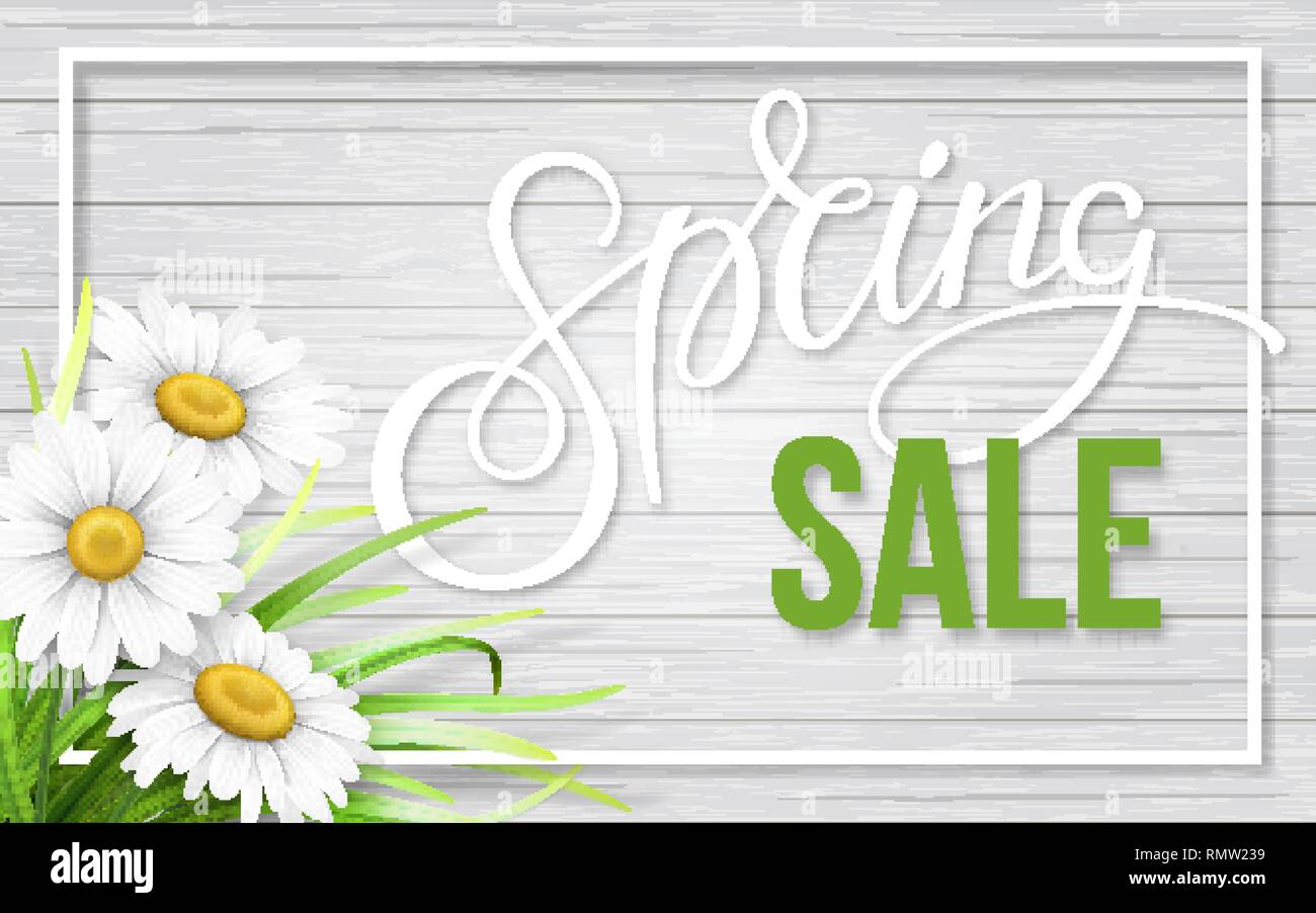 Spring sale frame with chamomiles on wood. Stock Vector