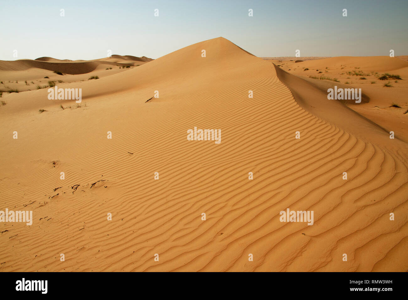 A dune landscape in the Rub al Khali or Empty Quarter. Straddling Oman, Saudi Arabia, the UAE