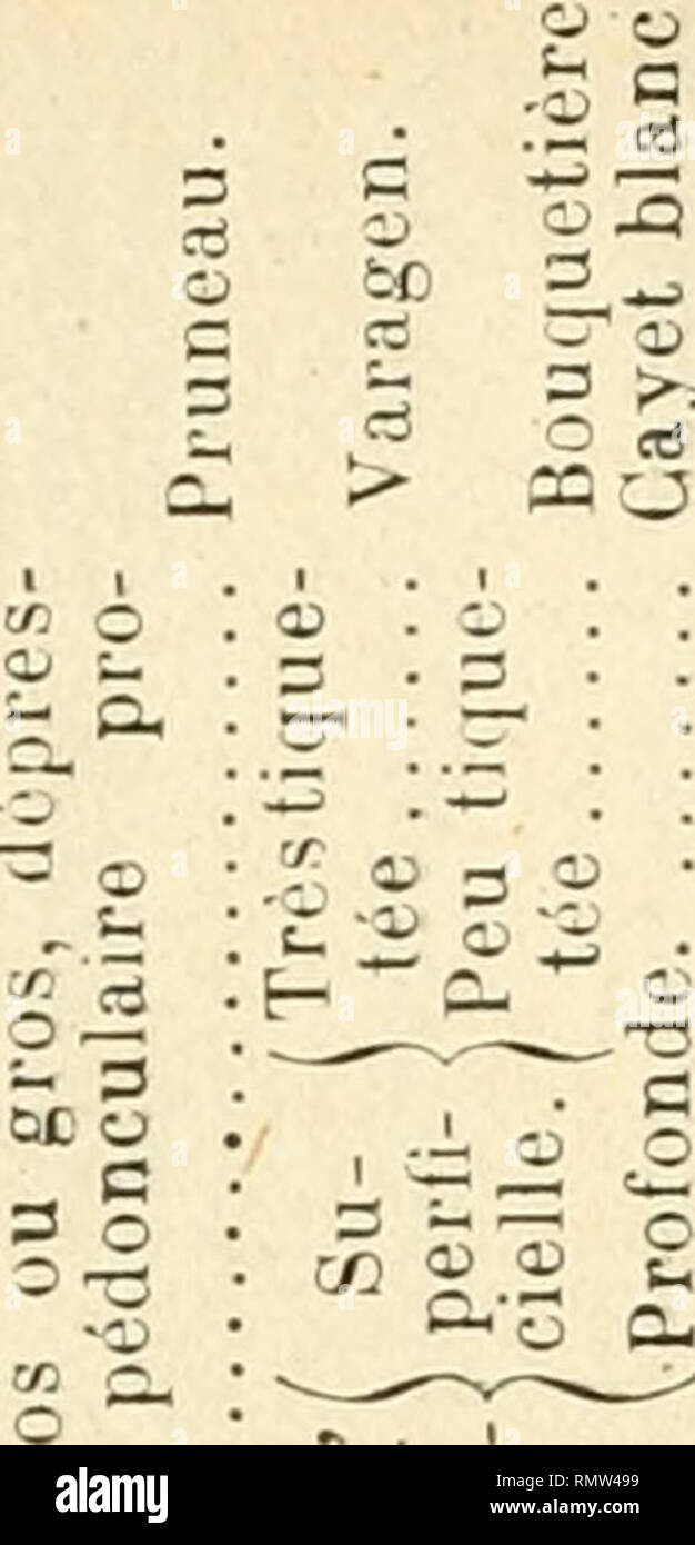 Annales Des Sciences Naturelles Plants Biology 03 3 E C Cr 3 03 E 03 60 I 03 3 Cr1 I E O 03 Sfi O Ato O 2 Quot C3