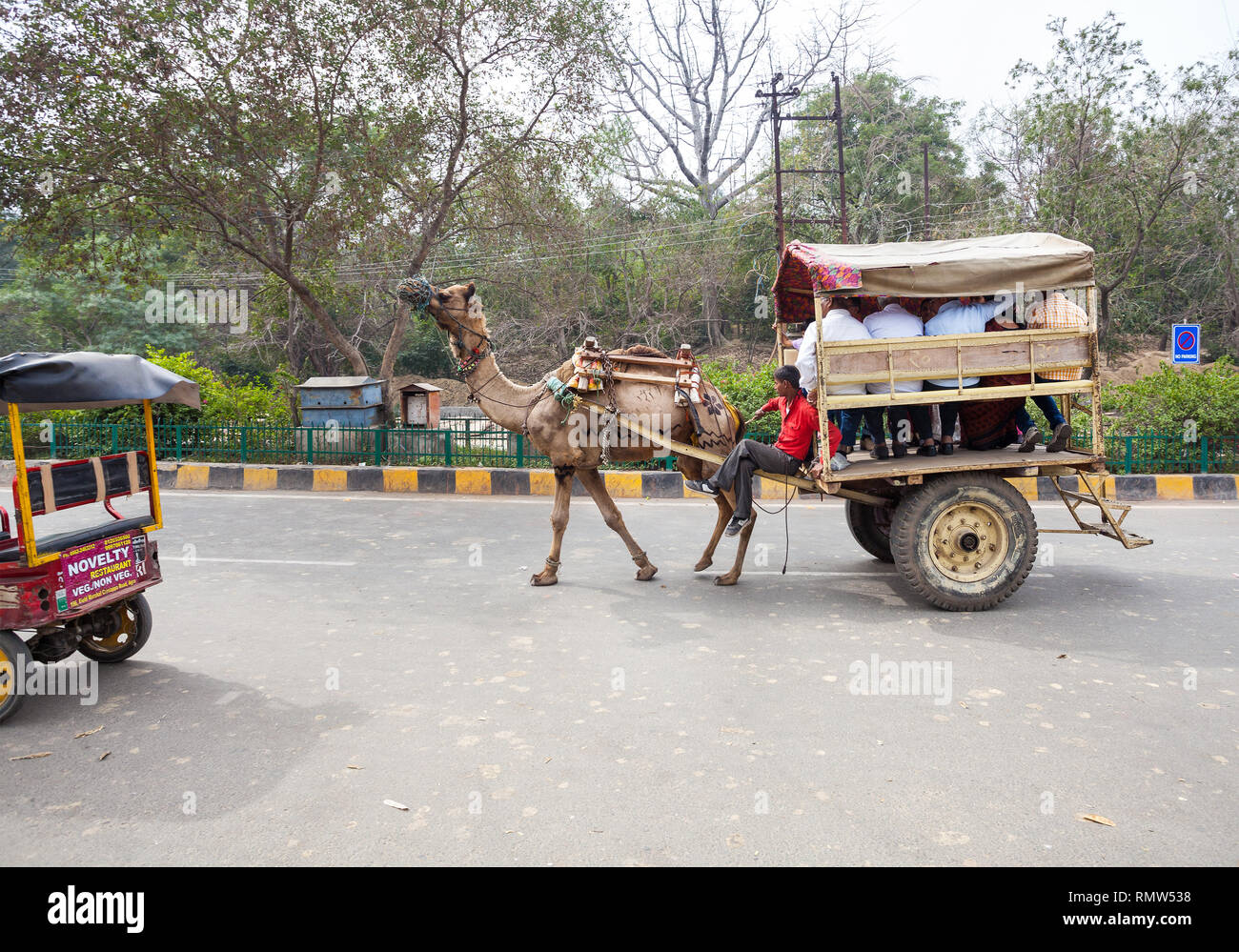 AGRA, UTTAR PRADESH, INDIA - FEBUARY 24, 2015: Taj Mahal area is very popular place where camels used as transportation for tourist. Stock Photo