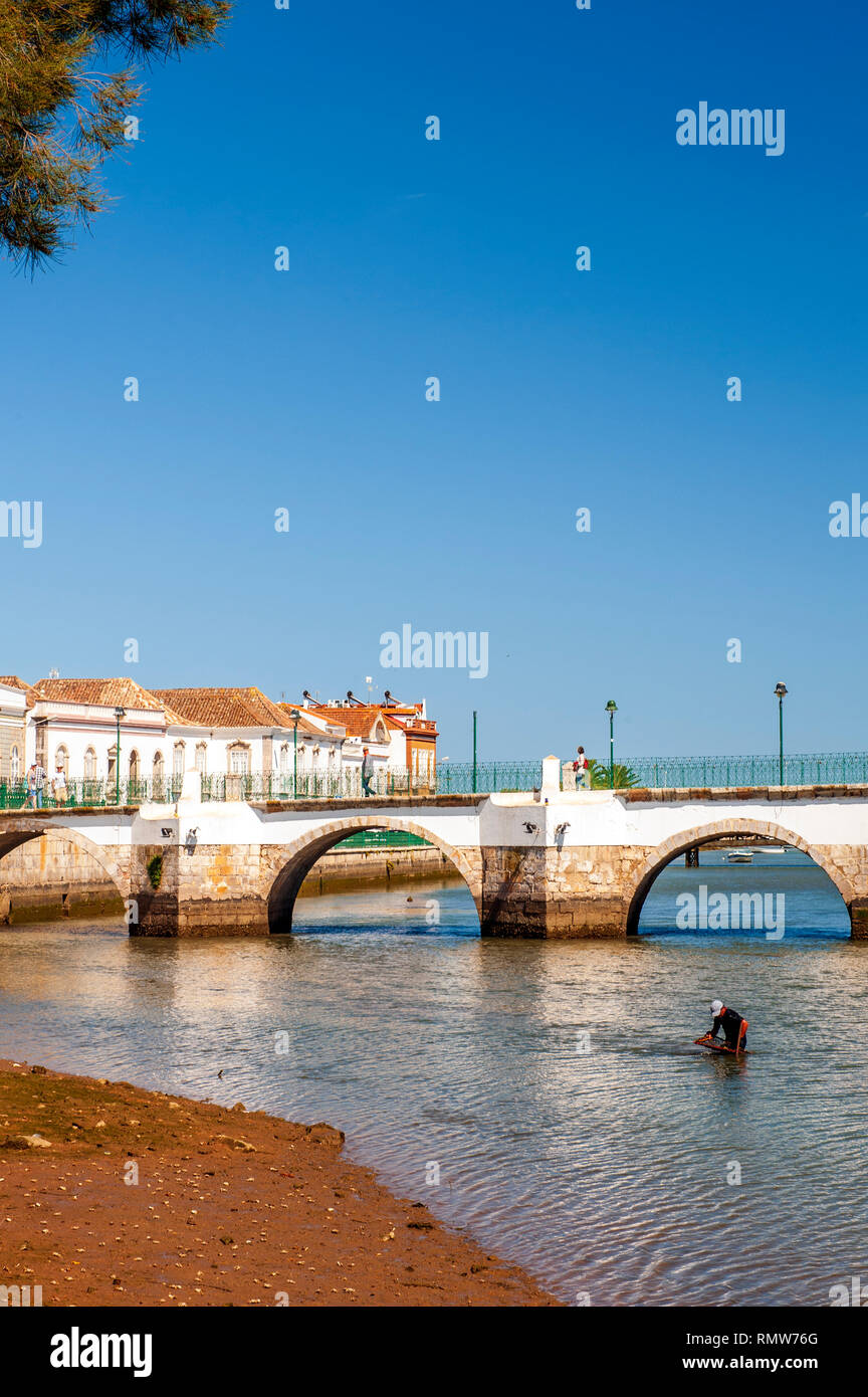 A man digging for cockles in the Gilao River next to the Roman Bridge in Tavira, a Moorish- built town on the southern coast of Portugal. The bridge i Stock Photo