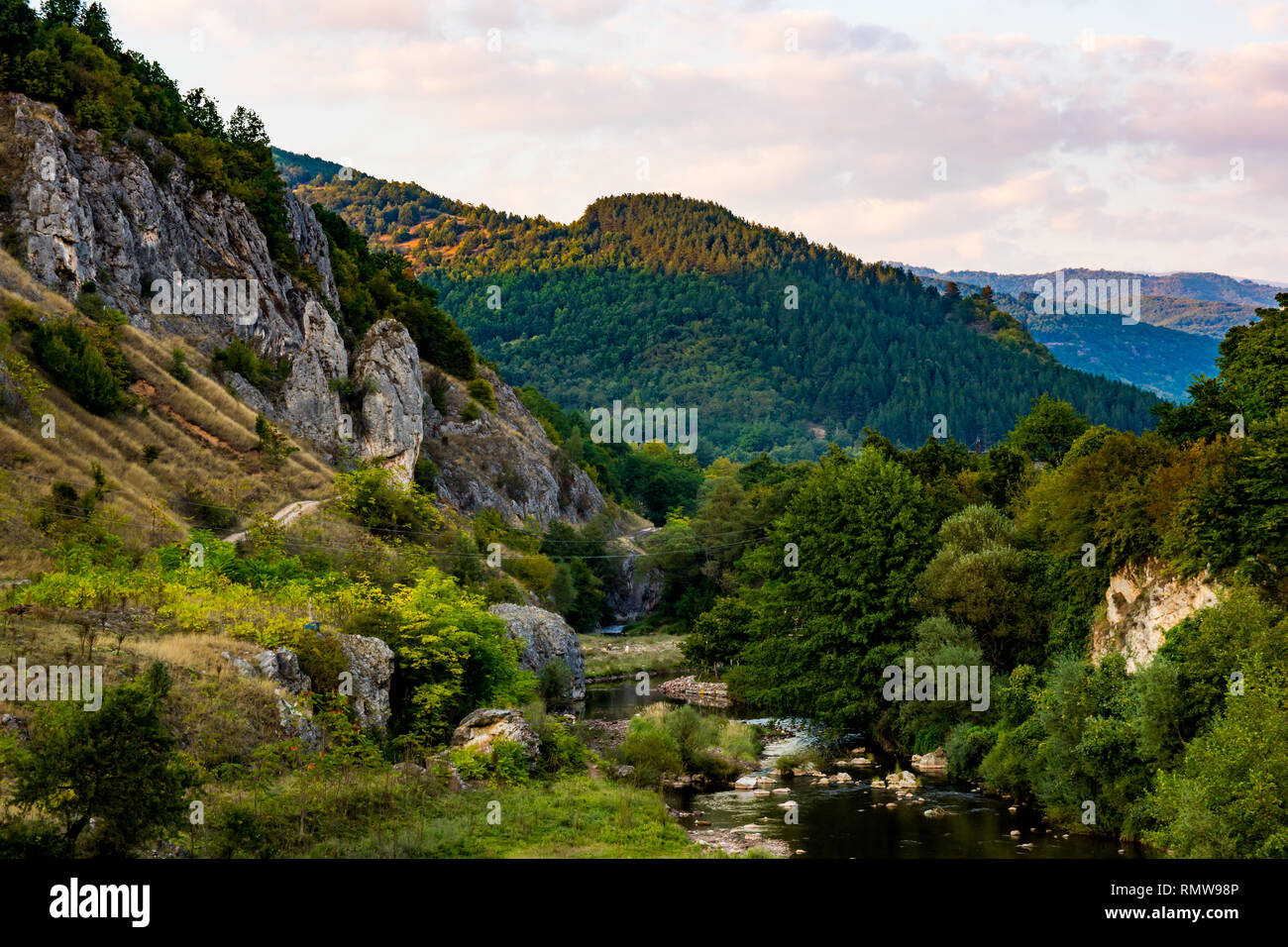 Temstica or Topli Do River on an old mountain ( Stara Planina ) in the vicinity of lake Zavoj, surrounded by dense vegetation and forest, Stock Photo