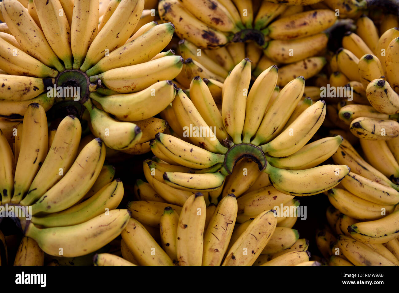 Manzana bananas hires stock photography and images Alamy