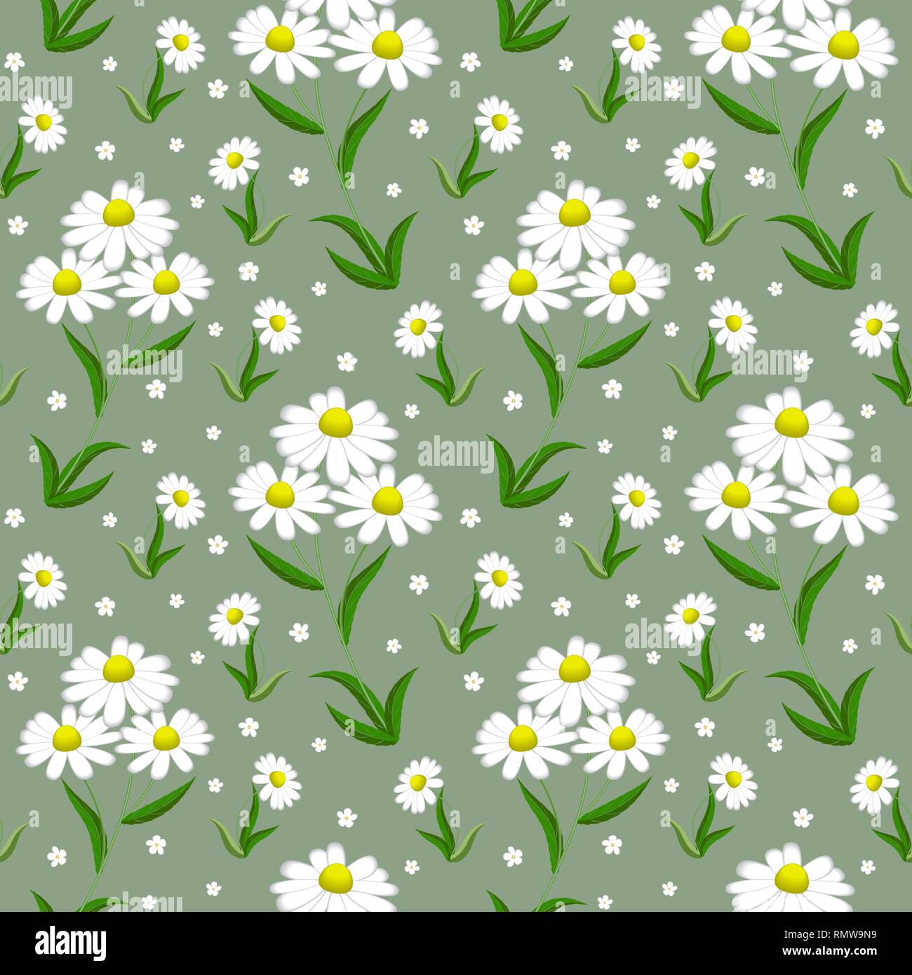 Seamless pattern of white daisies on a light green background. Vector ...