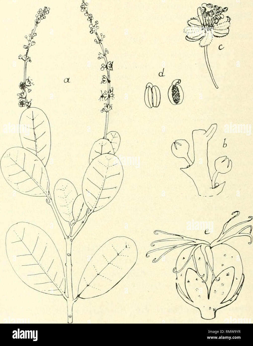 Port Au P Stock Photos Port Au P Stock Images Alamy