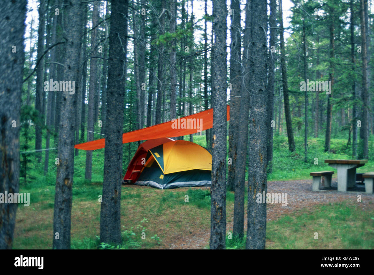 Tent camping,Banff National Park,Alberta,Canada Stock Photo Alamy