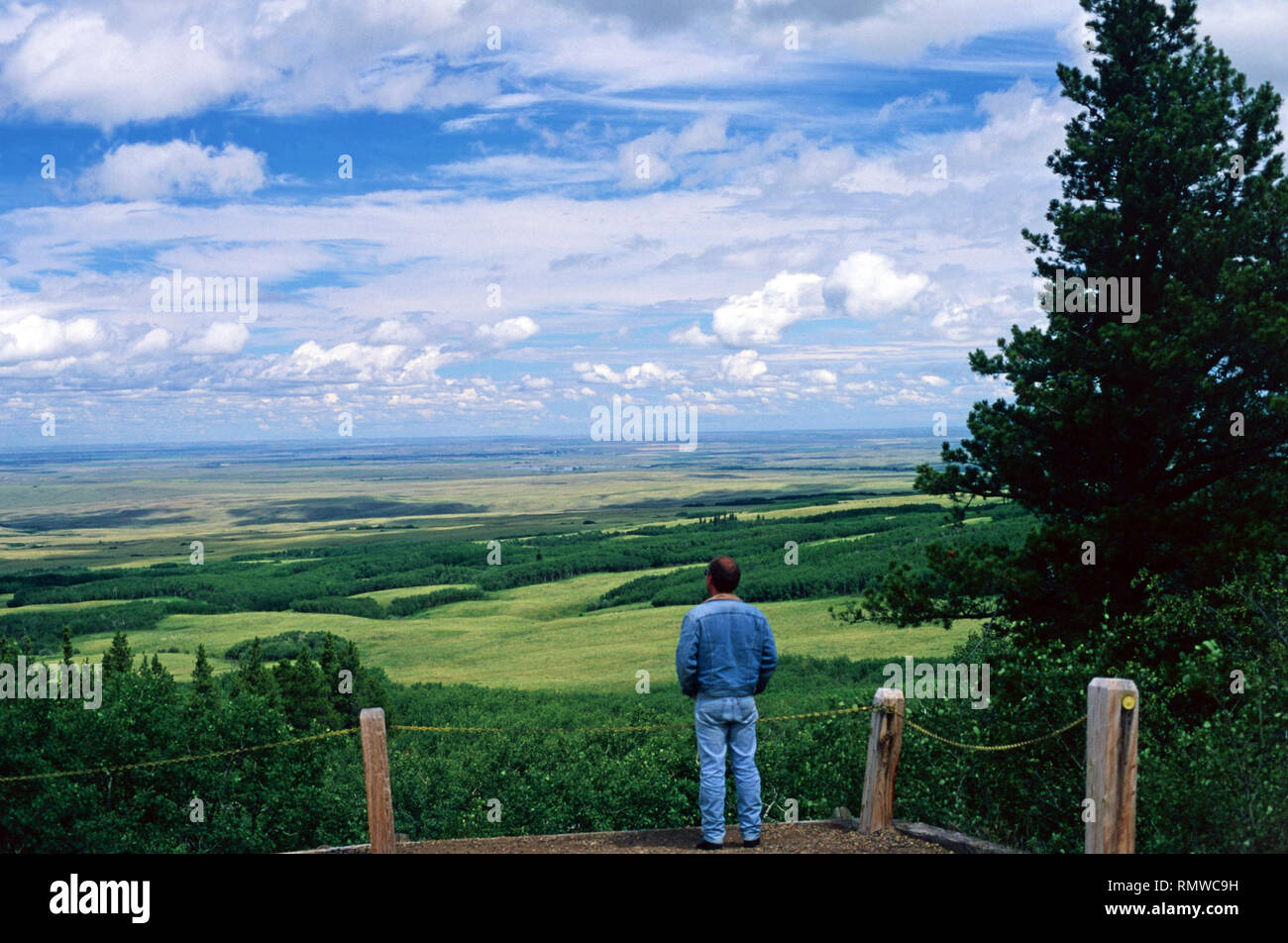 Lookout Point, Cypress Hills Provincial Park,Saskatchewan,Canada Stock Photo