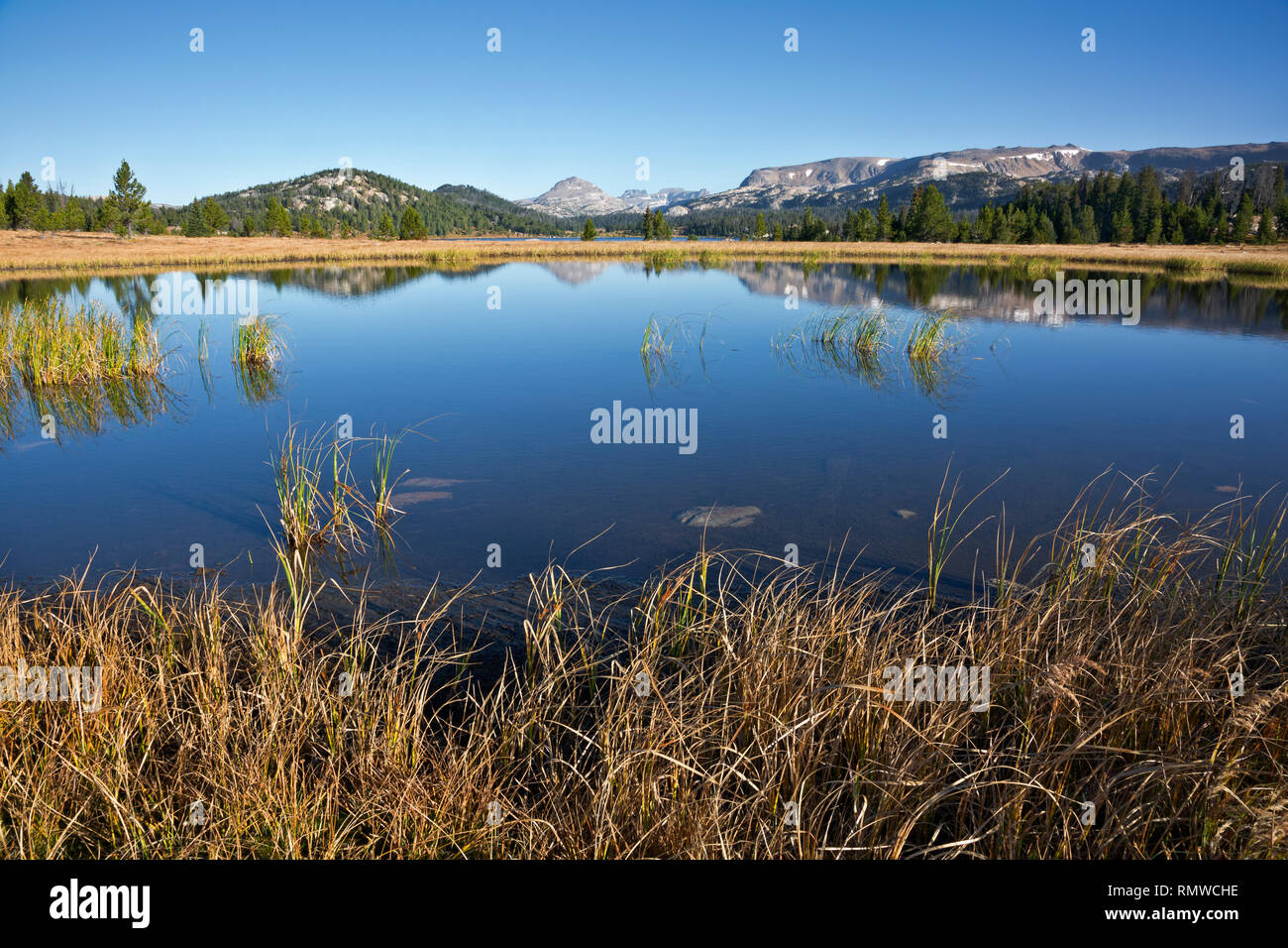 WY03753-00...WYOMING - The Beartooth Mountains reflecting in a small pond near Island Lake in the Shoshone National Forest. Stock Photo