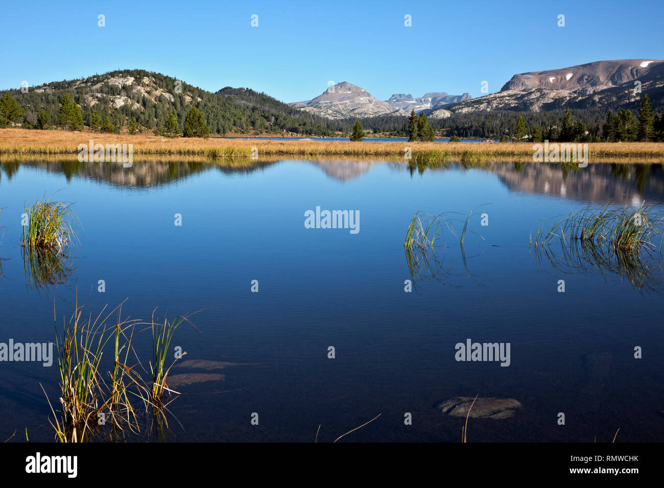 WY03754-00...WYOMING - The Beartooth Mountains reflecting in a small pond near Island Lake in the Shoshone National Forest. Stock Photo