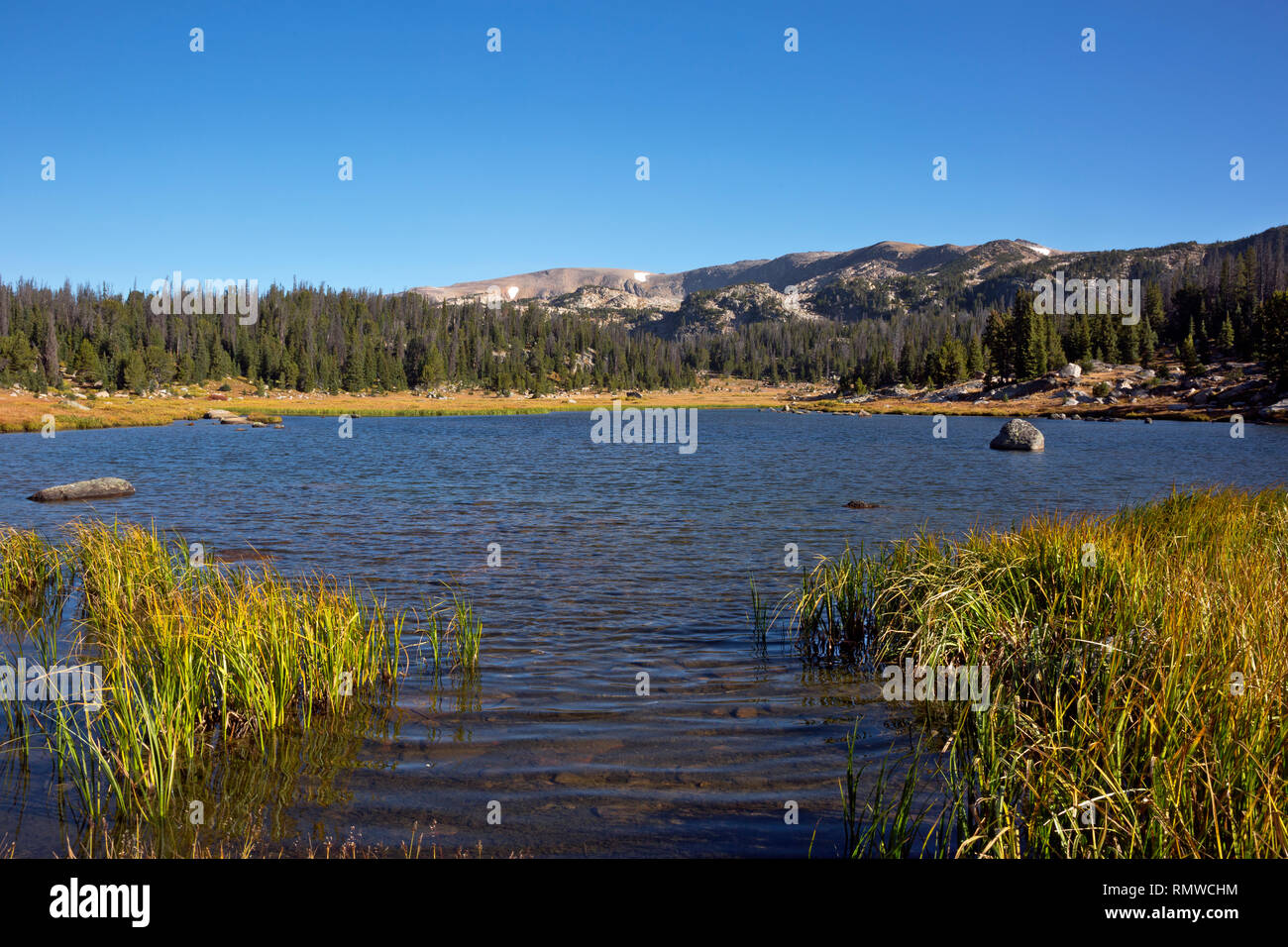 WY03755-00...WYOMING - Night Lake, a popular campsite along the Beartooth Highlakes Trail in the Beartooth Mountains area of Shoshone National Forest. Stock Photo