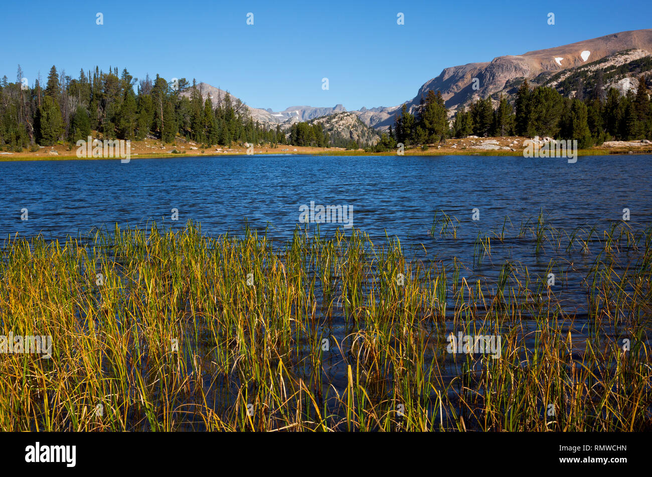 WY03756-00...WYOMING - Small lake along the Beartooth Highlakes Trail in the Beartooth Mountains area of the Shoshone National Forest. Stock Photo