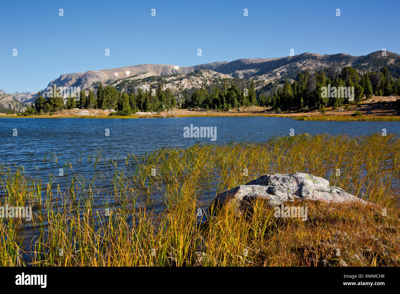 WY03758-00...WYOMING - The shoreline of a lake along the Beartooth Hghlakes Trail in the Beartooth Mountains area of the Shoshone National Forest. Stock Photo