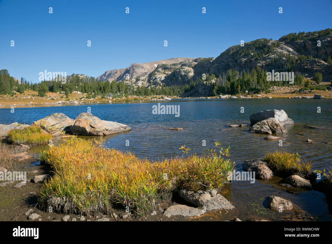 WY03759-00...WYOMING - The shoreline of a lake along the Beartooth Hghlakes Trail in the Beartooth Mountains area of the Shoshone National Forest. Stock Photo