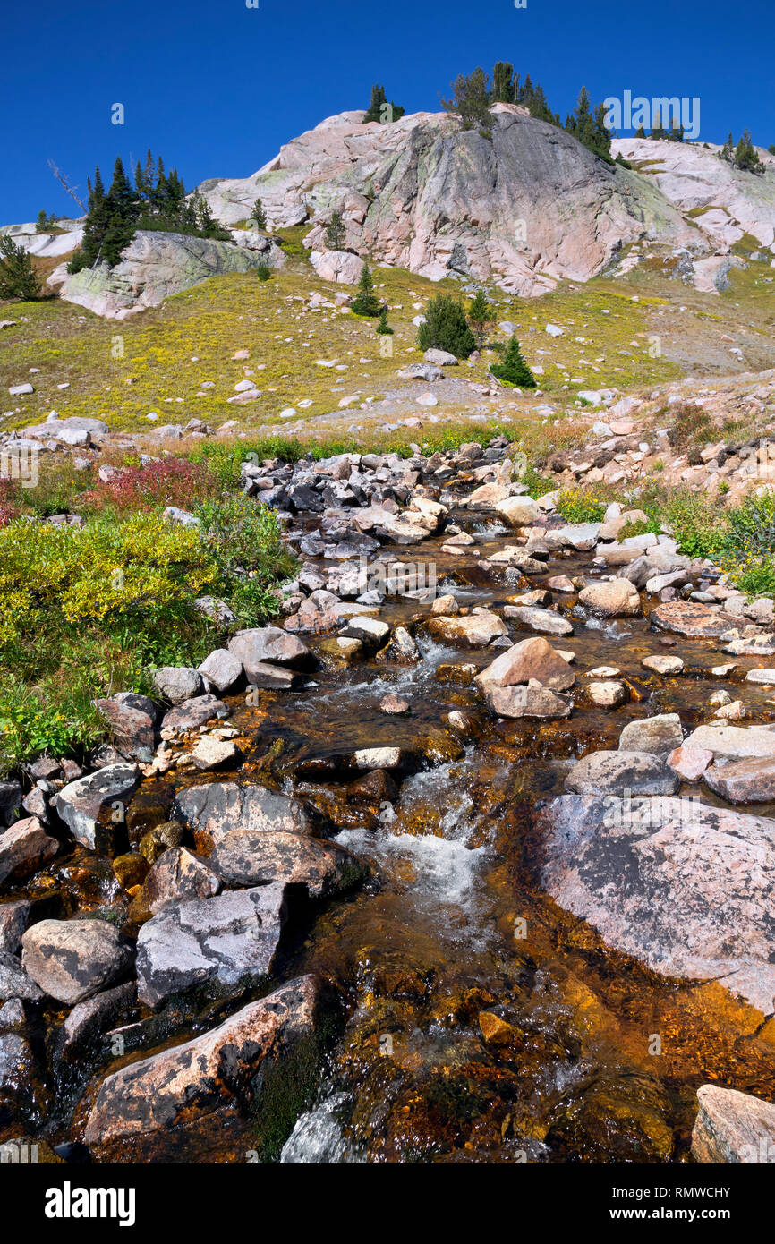 WYOMING - A cascading creek near timberline on the Beartooth Highlakes Trail in the Beartooth Mountains area of the Shoshone National Forest. Stock Photo