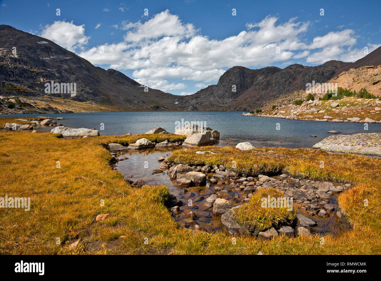 WYOMING - Fall color along the shores of an unnamed lake along the Beartooth Highlakes Trail in the Beartooth Mountains in Shoshone National Forest. Stock Photo