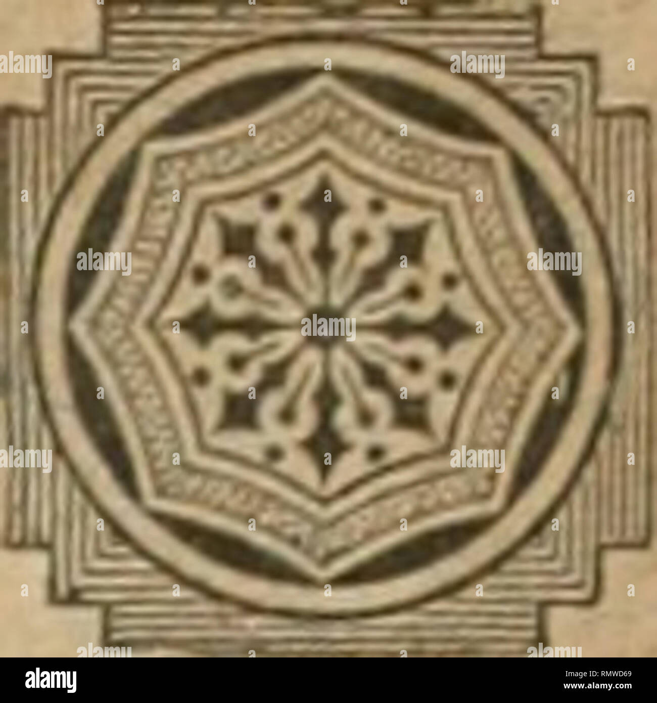 Melchior treub hires stock photography and images Alamy