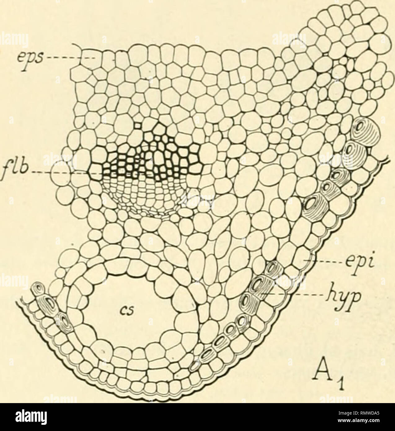 Structure de lieu hi-res stock photography and images - Alamy