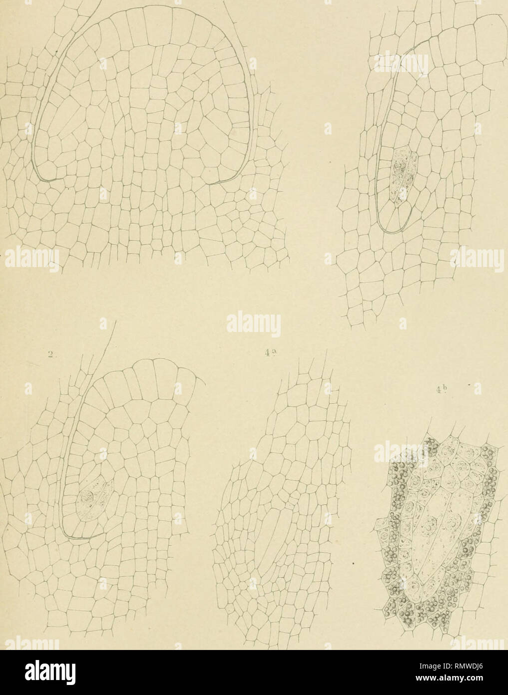 J Ii Ae High Resolution Stock Photography And Images Alamy