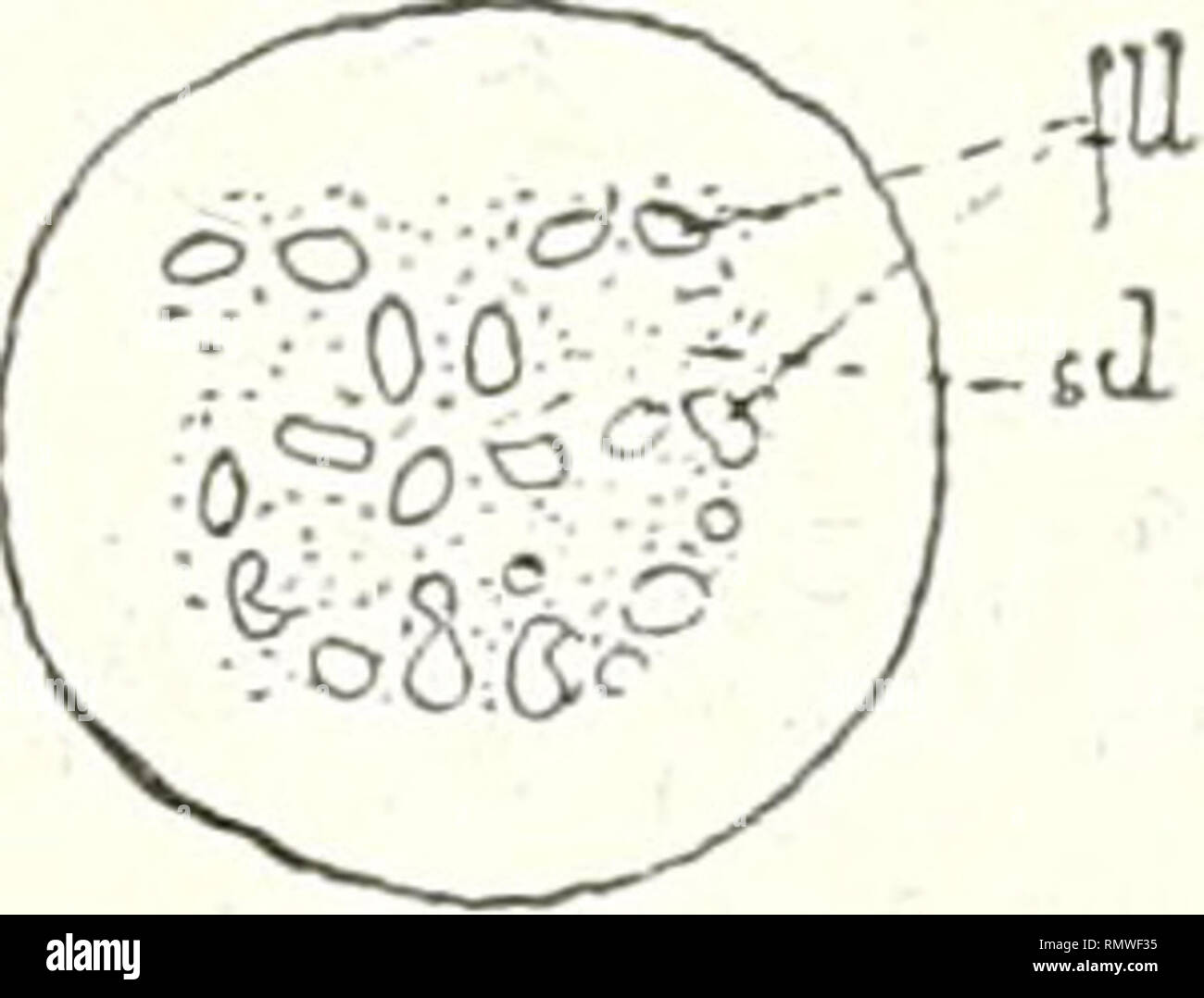 page 6 etroite high resolution stock photography and images alamy