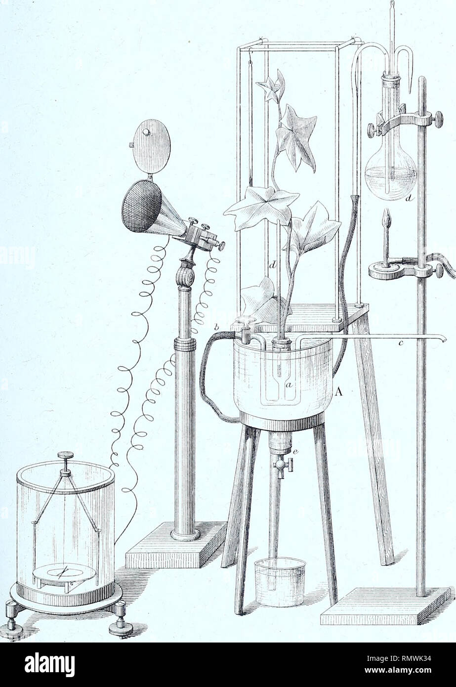 Annales des Sciences Naturelles Botaniques. Atitv. des Scien-c. naJt. 6^  Sé.Tz&. Bot. Tome, s, Fl.'à.. J. Vasque, del. E. JÏOTtCU^ AO. Appareil  seroa/ff à l'eff/de de l'absorplion. Tmp. Hcc^ucf, r. (^csA^o^ers