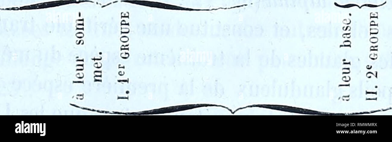 Page 4 0 5d High Resolution Stock Photography And Images Alamy