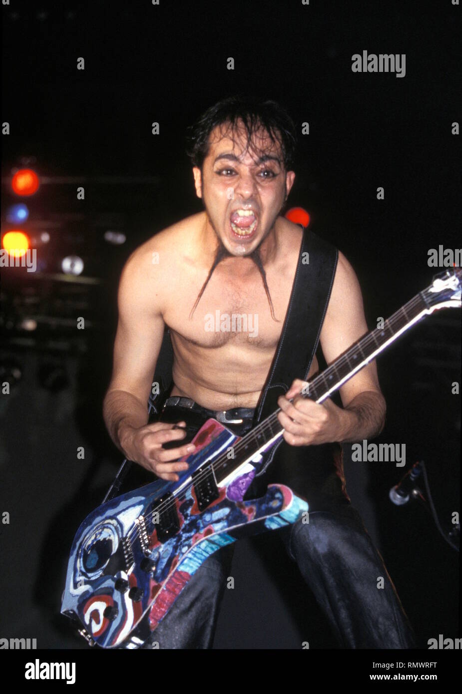 Guitar shop daron malakian