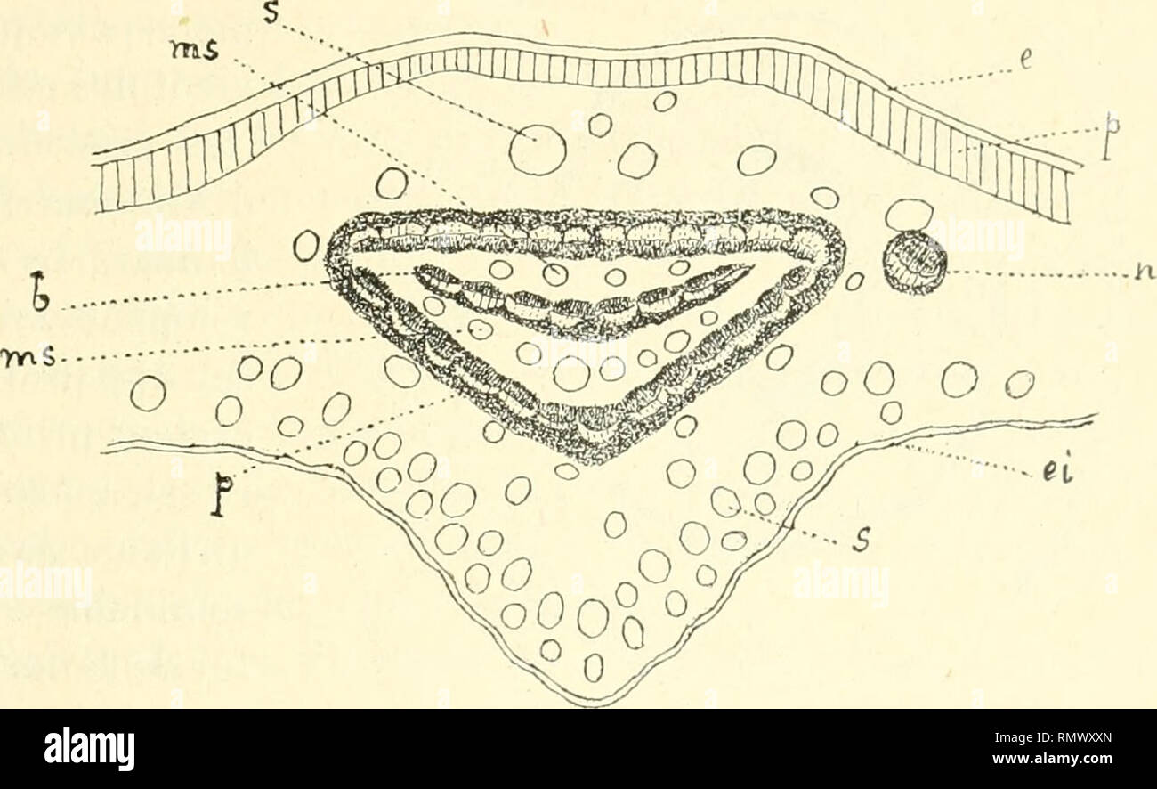 page 6 etroite high resolution stock photography and images alamy