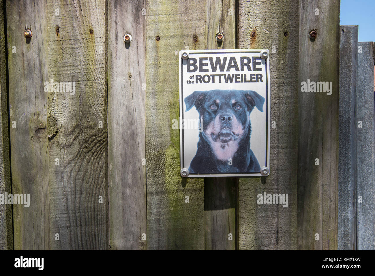 A beware of the dog sign screwed to a paling timber fence in a Sydney suburb Stock Photo