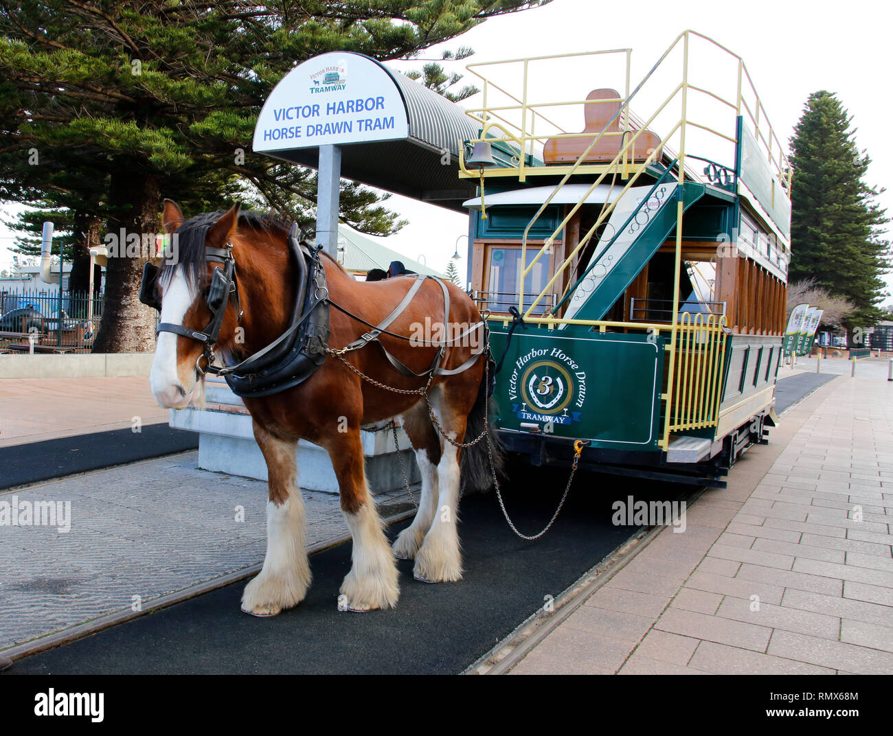 Horse drawn tram at Victor Harbour Stock Photo