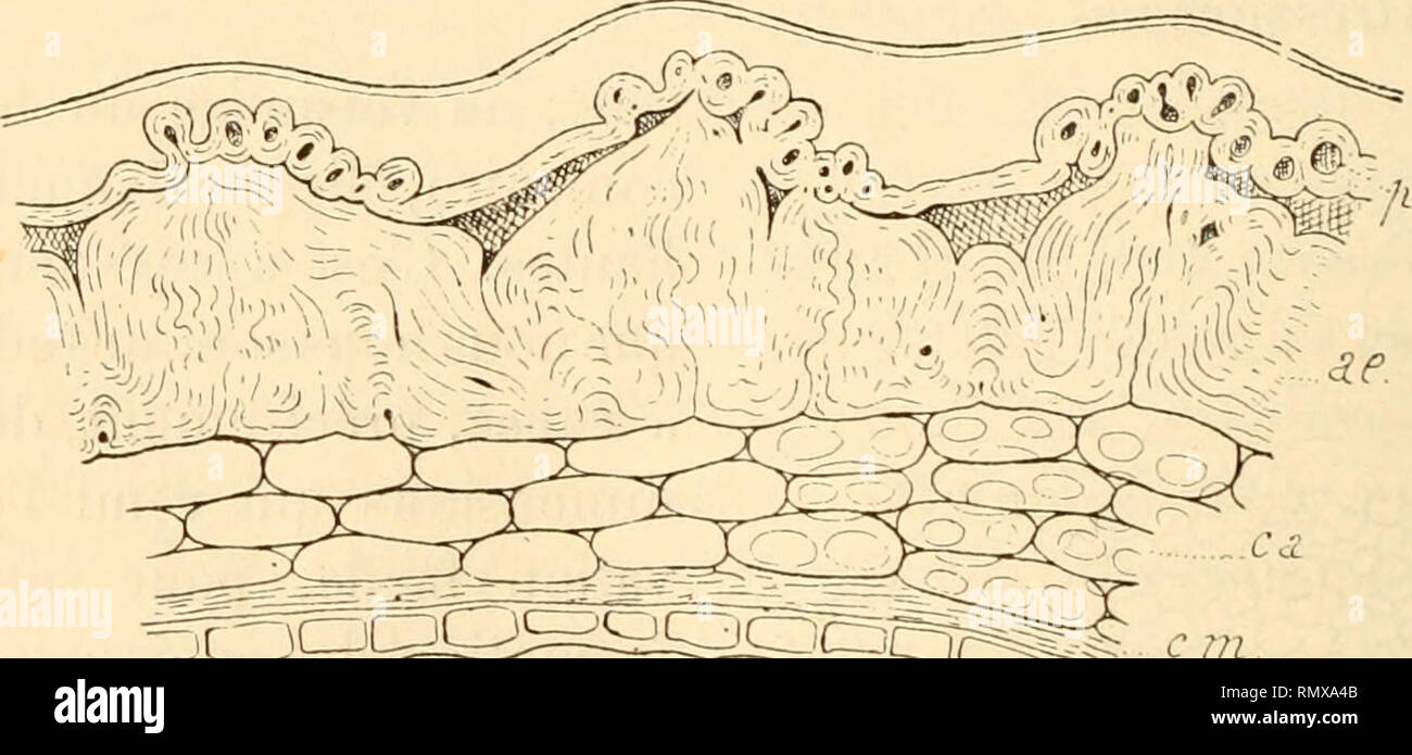 Page 11 Xm 1 High Resolution Stock Photography And Images Alamy