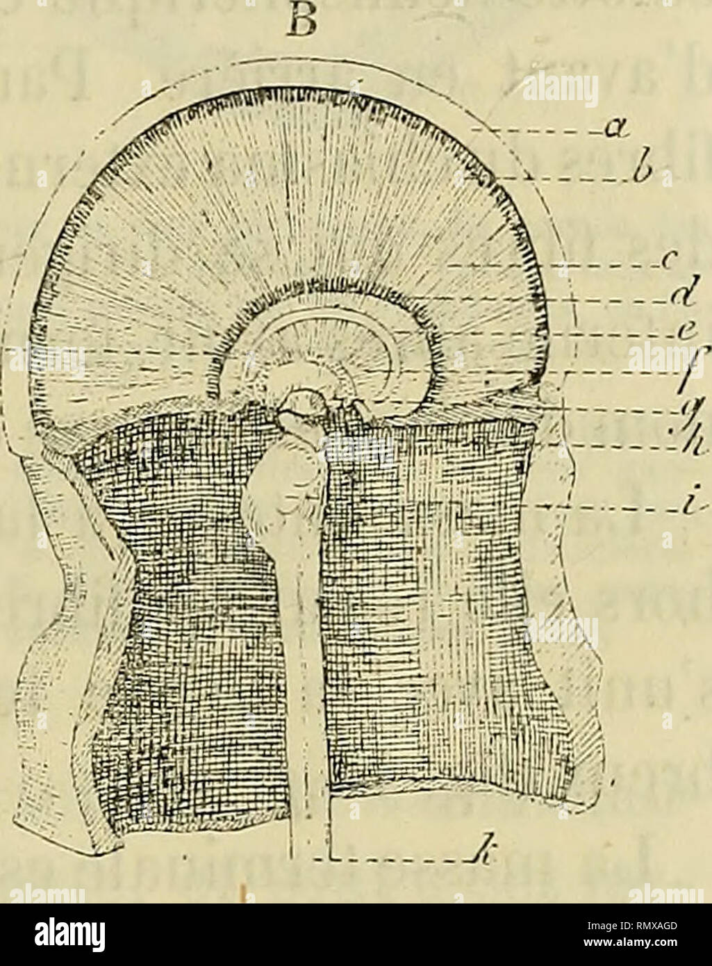 revetu high resolution stock photography and images alamy