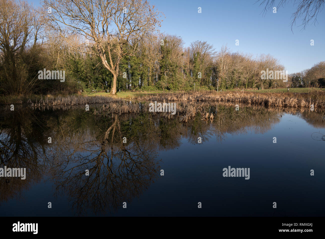 Crowlink hi-res stock photography and images - Alamy