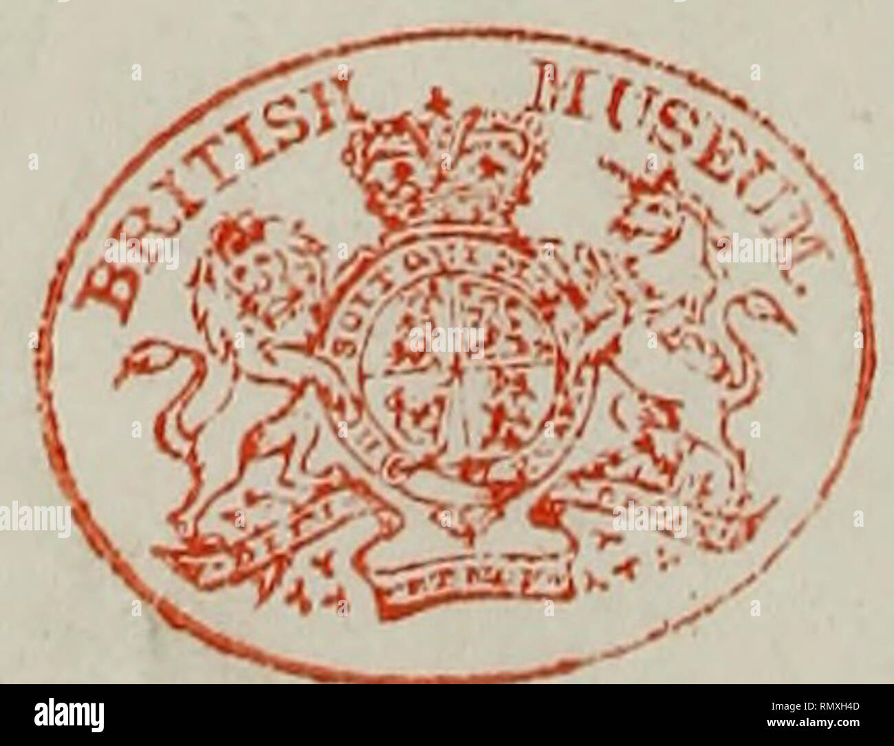 Bernhardi High Resolution Stock Photography And Images Alamy