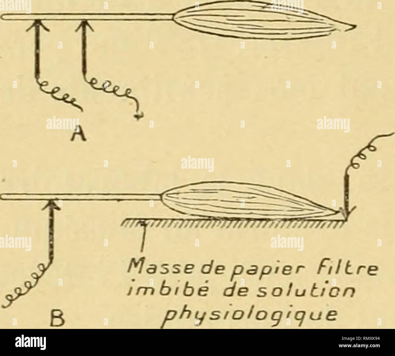 Annales Des Sciences Naturelles Zoology Biology 4 Henry Cardot Cette Densite Et Non La Valeur Absolue Annales Des Sciences Naturelles Zoology Biology 4 Henry Cardot Cette Densite Et Non La Valeur Absolue