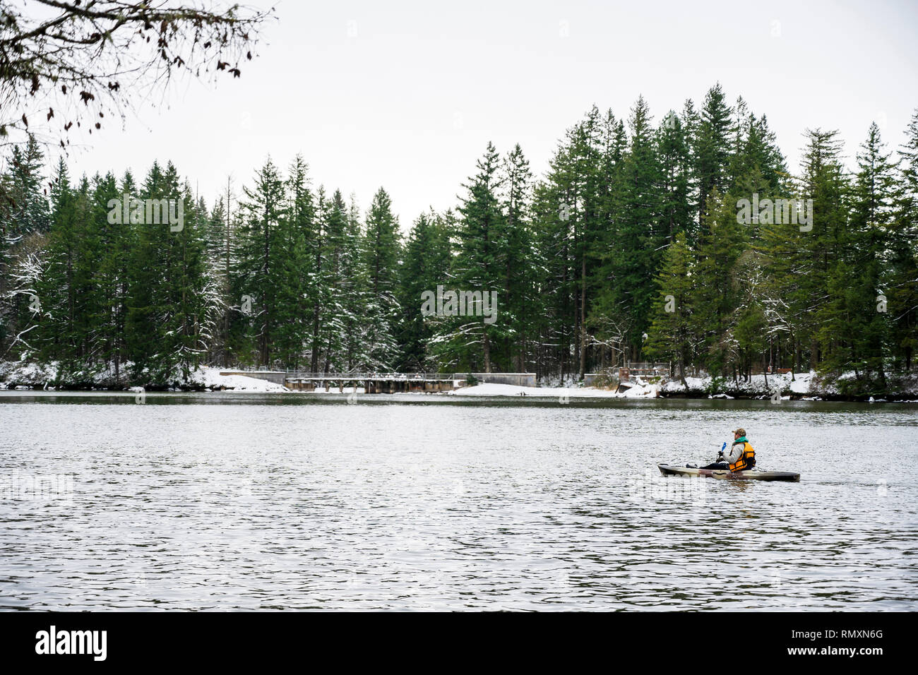 Winter landscape of quiet Lacamas Lake with wall of sinking in snow trees ashore and an active lifestyle man on a plastic kayak making a healthy kayak Stock Photo