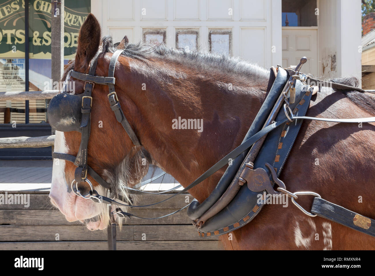 Old wild west cowboy town hi-res stock photography and images - Alamy