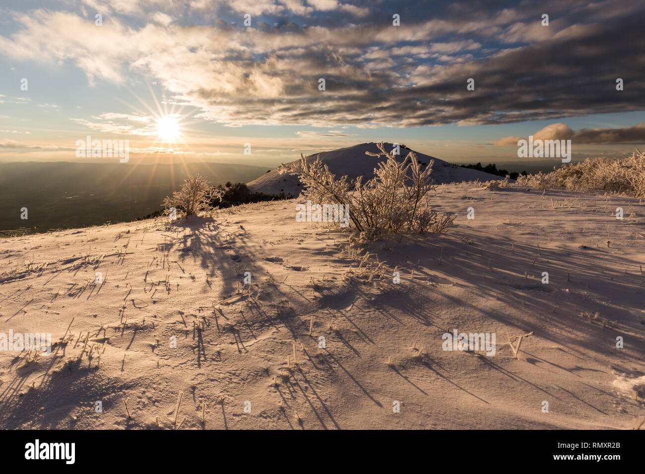 Subasio mountain (Umbria, Italy) in winter, covered by snow, with plants at golden hour Stock Photo