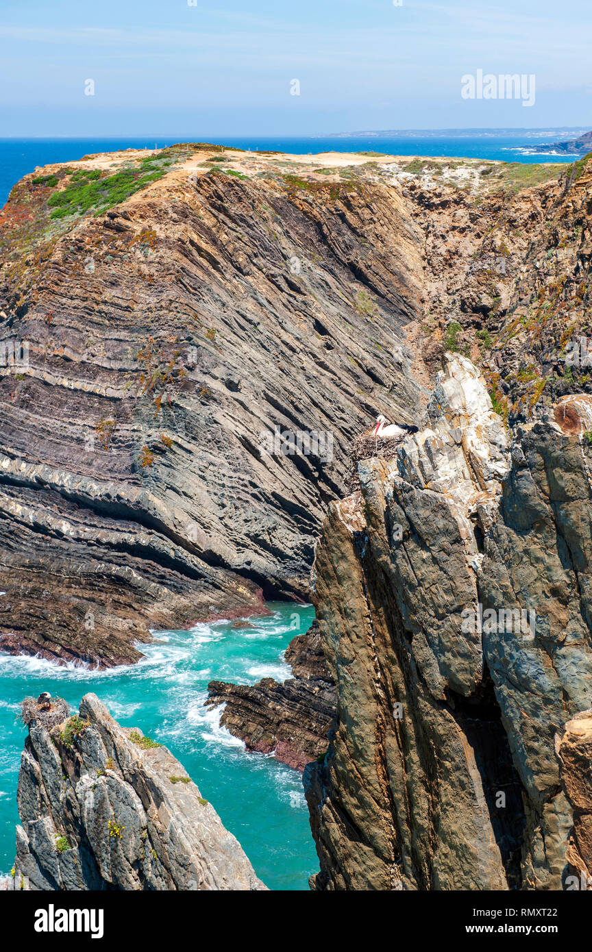 A stork's nest on the coast between Almograve and Zambujeira do Mar. The area is part of the Southwest Alentejo and Vicentine Coast Natural Park. Stock Photo