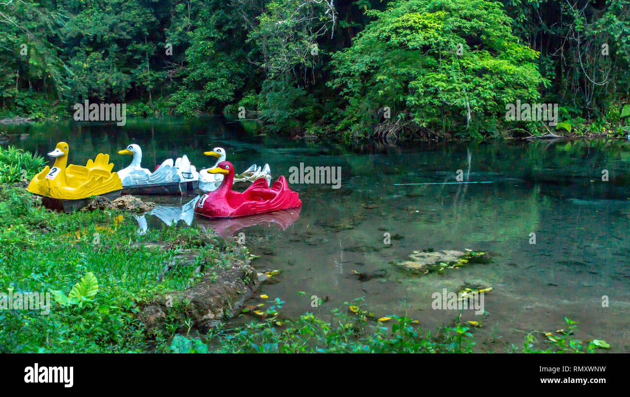 colorful duck shape paddle boat at Telaga Biru lake, Berau, Indonesia Stock Photo