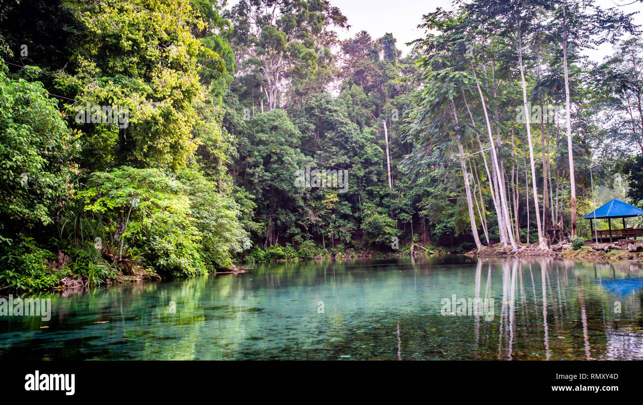 beautiful view of crystal clear water surrounded with dense green forest in Telaga Biru, Berau, Indonesia Stock Photo