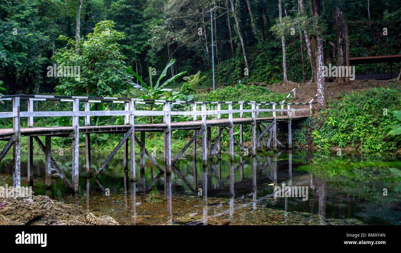 White painted wooden bridge connecting the forest and the lake at Telaga Biru, Berau, Indonesia Stock Photo
