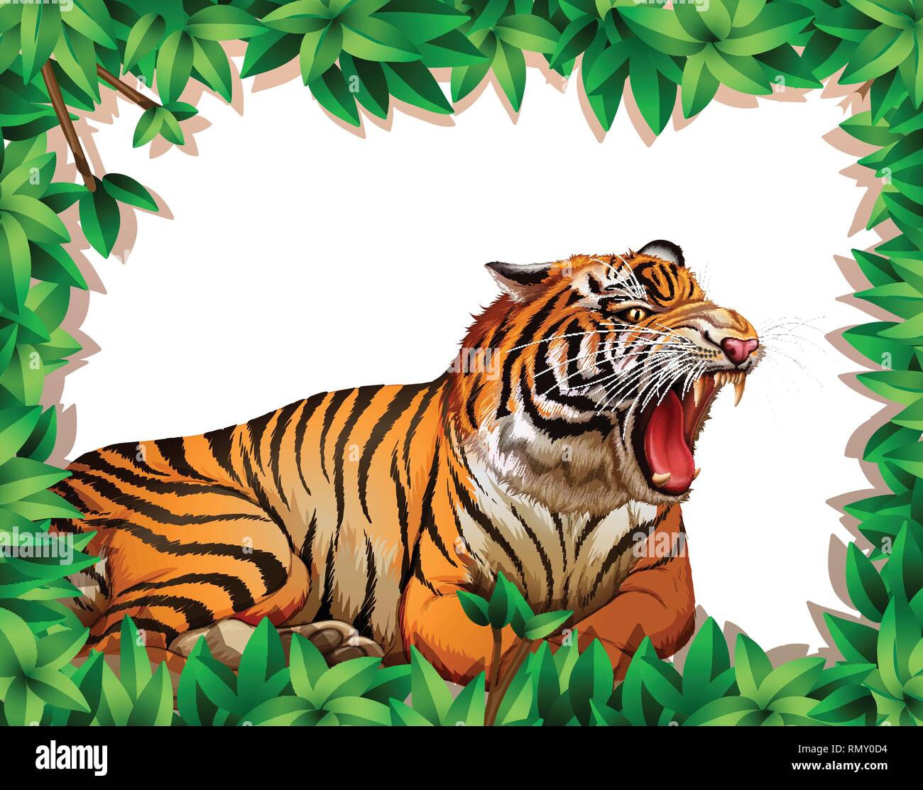 Tiger in nature frame illustration Stock Vector Image & Art Alamy