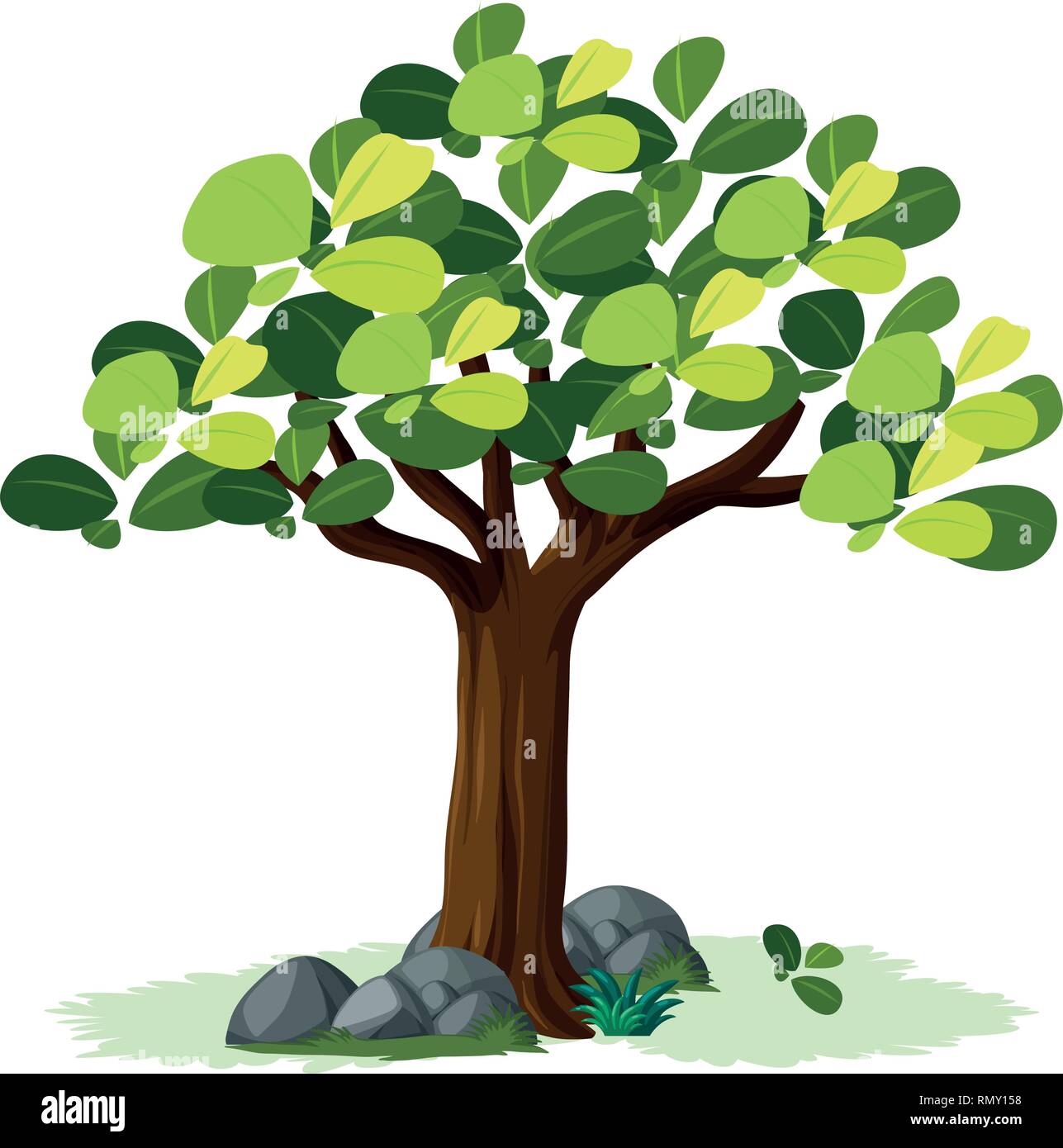 Isolated tree on white background illustration Stock Vector Image & Art ...