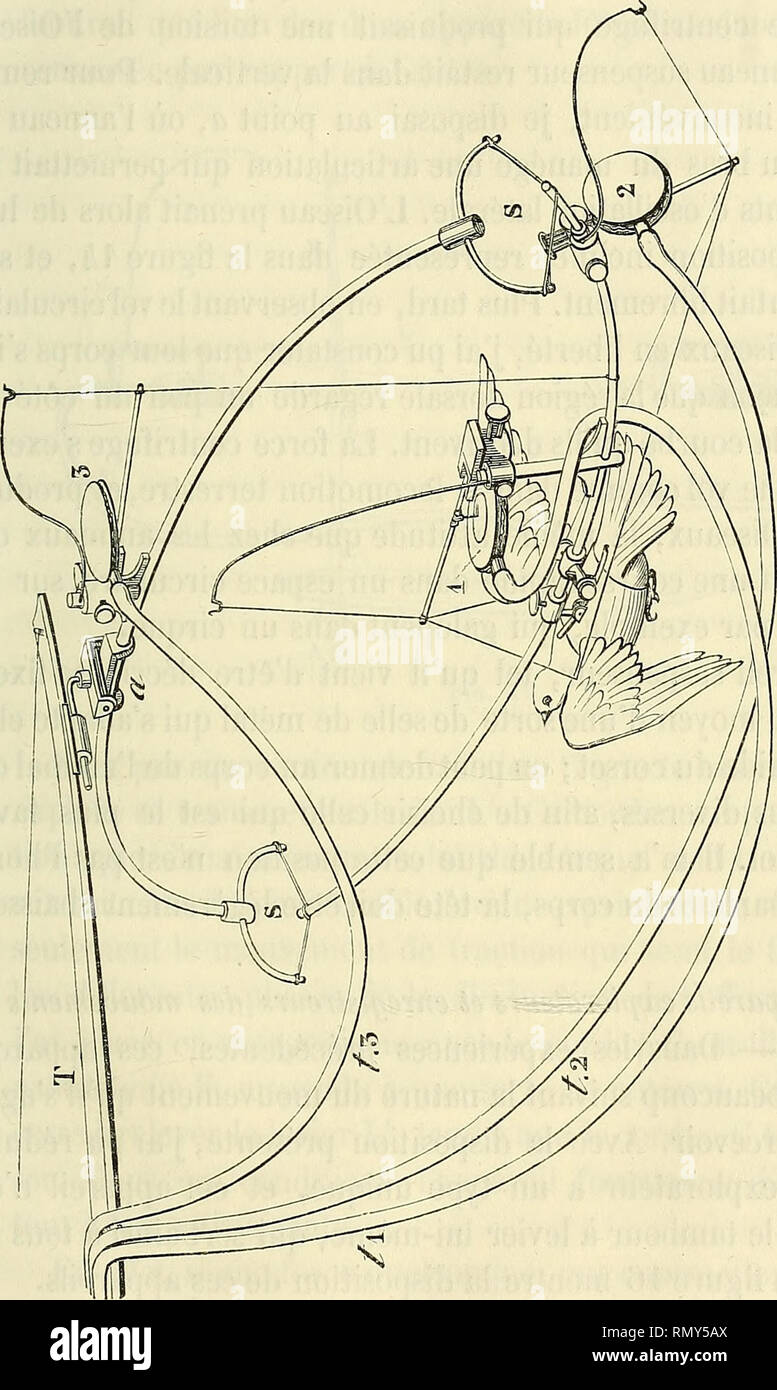 Page 9 O Ai High Resolution Stock Photography And Images Alamy