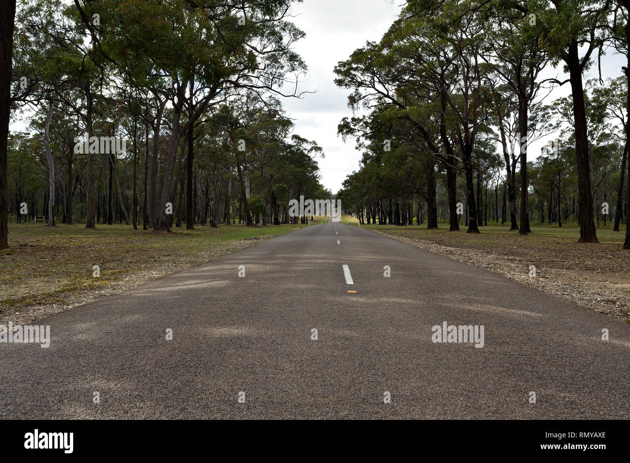 Long straight empty road in Australian country side. Stock Photo