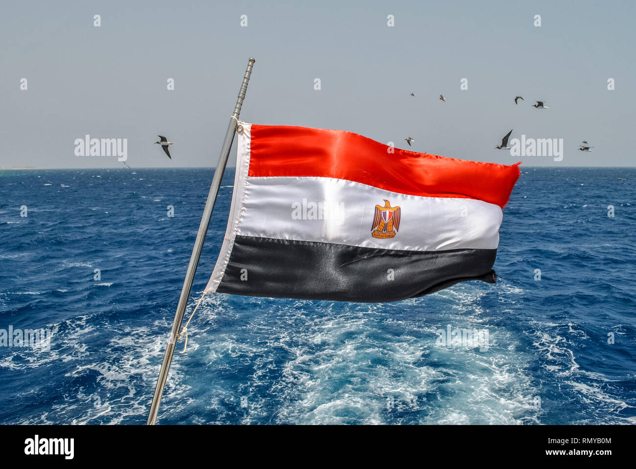 Egyptian flag fluttering in the wind against the Red Sea Stock Photo
